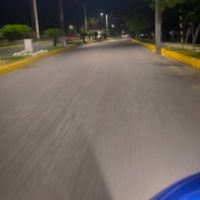 potaxie_37