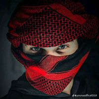 shazeb613