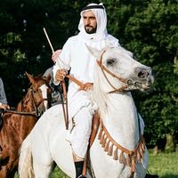 الصوت الأصلي