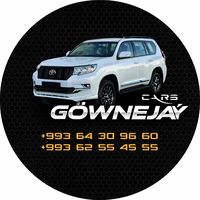 gownejaycars1