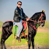 docshahzaib0
