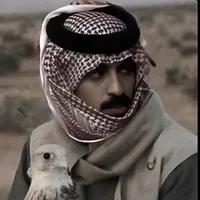 original sound - saud.s8