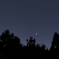 오리지널 사운드 - ElEl
