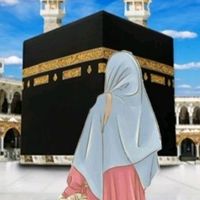 faisalmahmod645