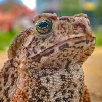 เสียงต้นฉบับ - JOHN🥴KHUB