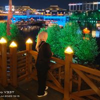 yntea7