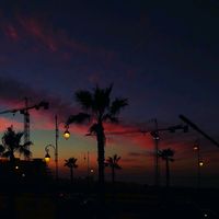 nephophile_9