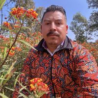 juanmariposas