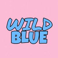 wildblue_ykme