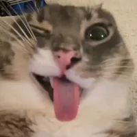 original sound - masjawir63