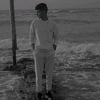 user039505701