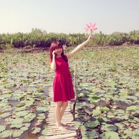 nhạc nền - Cadie Hue 195🇻🇳