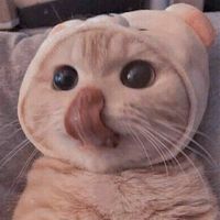 peachccy