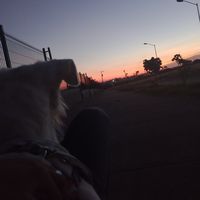alan_masa
