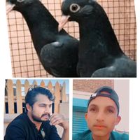 shahnwazkhan149
