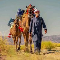 mach_bolan_09