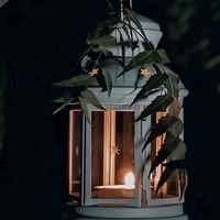 3tam.n