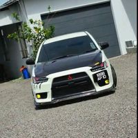 aileypirante1