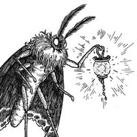 polillaescritora