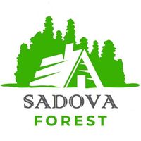 sadova_forest