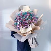 bloomingbyyusa