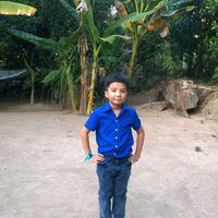 nhạc nền - admin