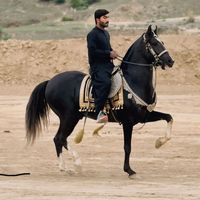 umair_ali.dhadhi