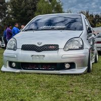 maldiito_vitz