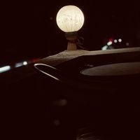 luzer84