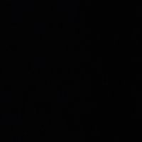 sall22_7