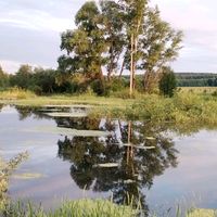 оригинальный звук