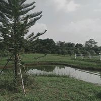 เสียงต้นฉบับ - น้องชายใครไม่รู้