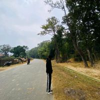 royaltharu95