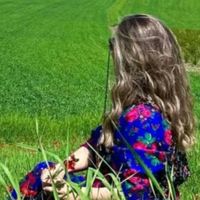 raisen.dizin