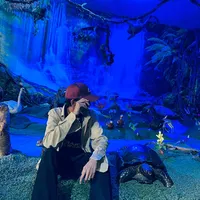 original sound - waimyolinnlatt