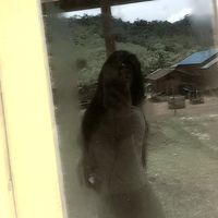 suara asli - mantan ikam😁🤫