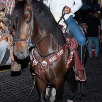 edwincarrillo096