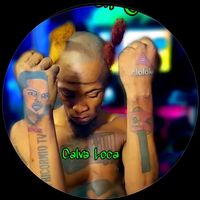 calvalocatvoficial1