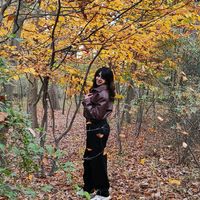 humay_11_88
