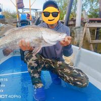 bunyi asal - ☠️W Z ♠️