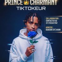 princecharmant662