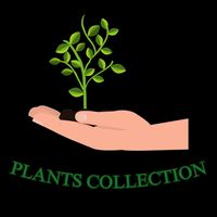 plants.collection22