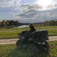 оригинальный звук