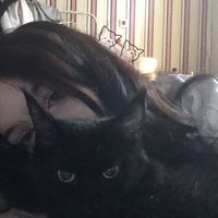 оригинальный звук