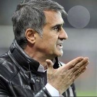 orijinal ses