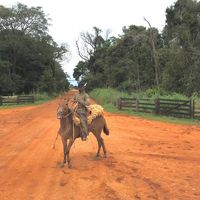 marcosferreiraoficial6