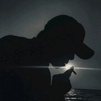 triet.ly.song91
