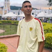 vierimorillo