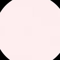 ammyl23