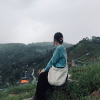 tararai_9